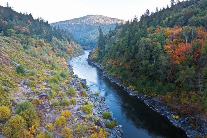 Forested river canyon — a natural climate solutions landscape